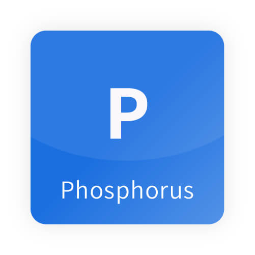 AMT - Stable Isotopes - Phosphorus (P)